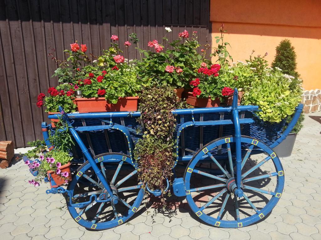 Hotel Bliss Sibiu Eksteriør bilde